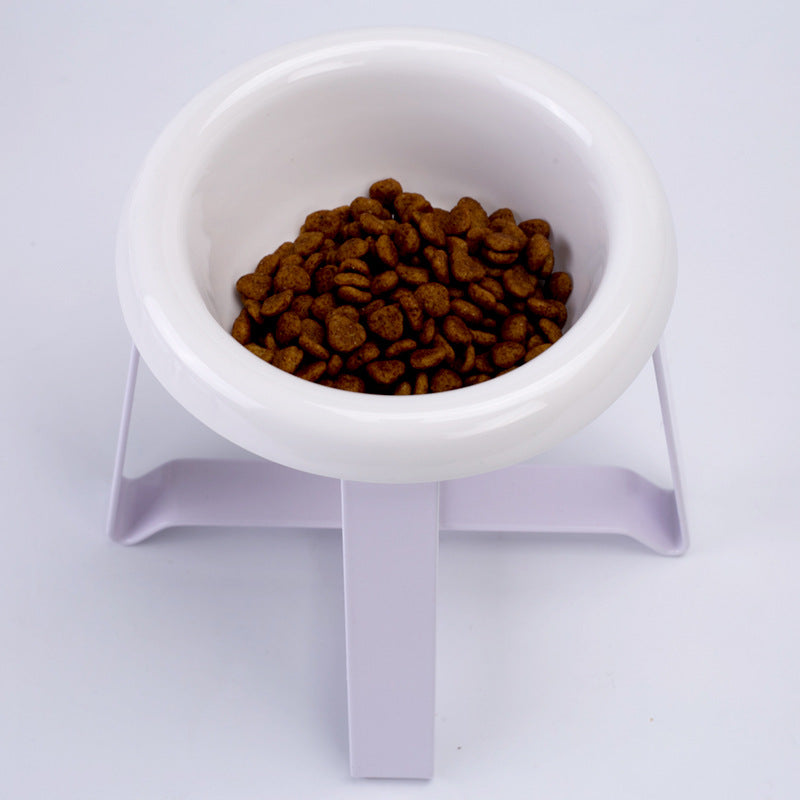 2-in-1 Elevated Cat Food & Water Bowl Set