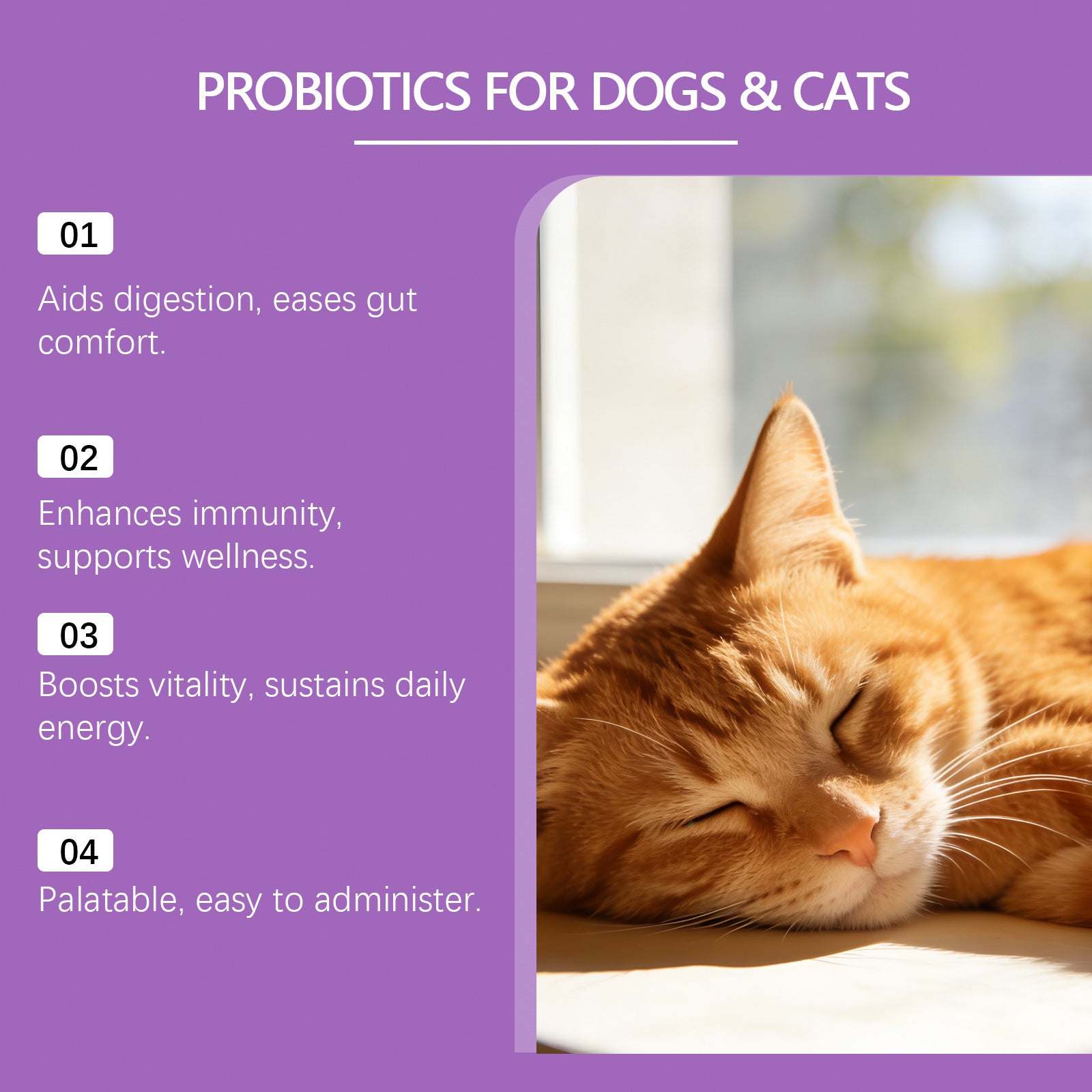 Probiotic Powder for Dogs and Cats Digestive Health