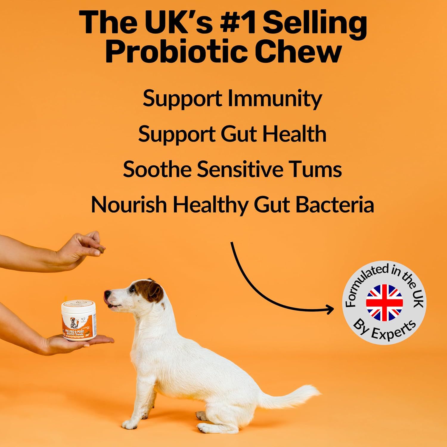 Dog Prebiotic Digestive Treats for Gut Health and Intestinal Support