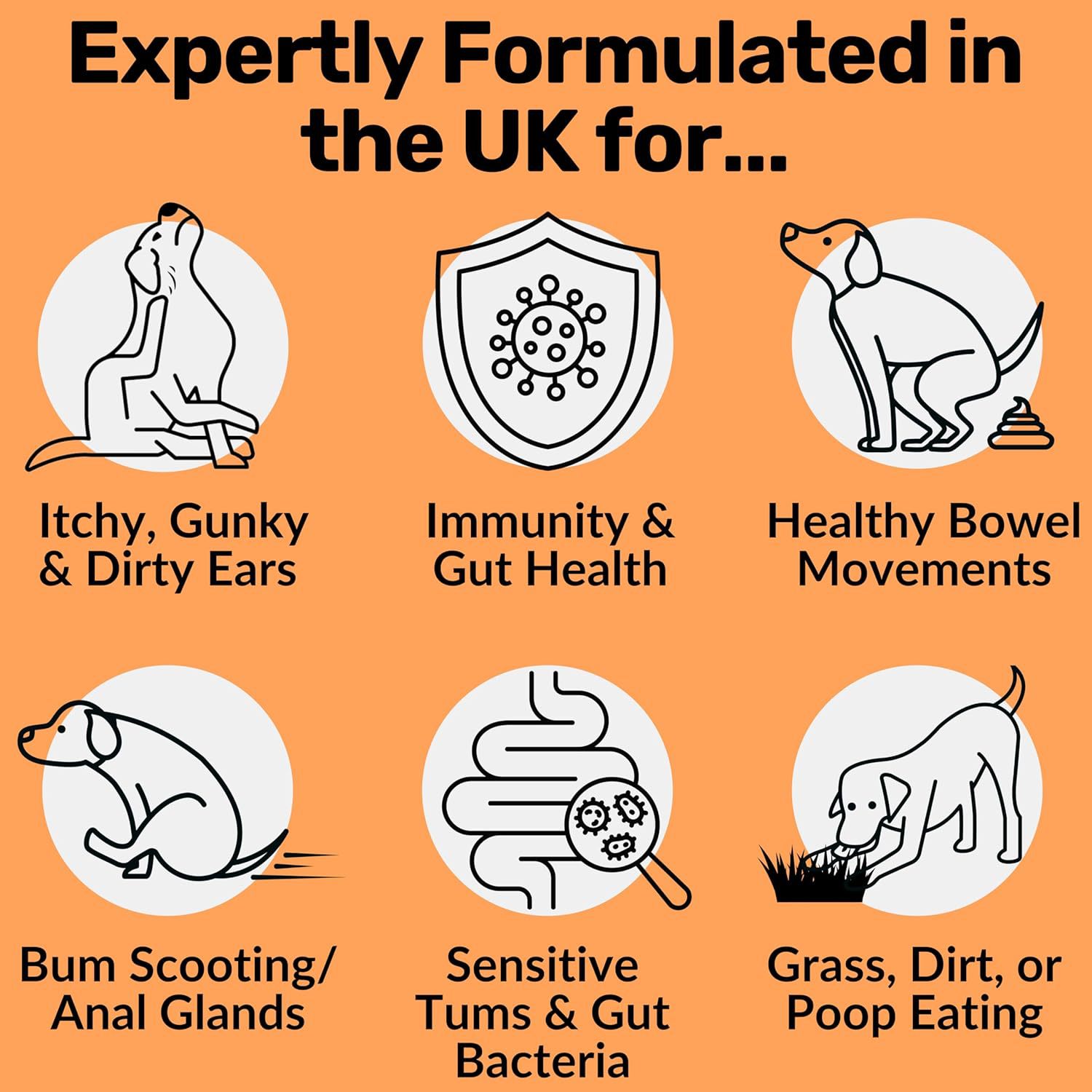 Dog Prebiotic Digestive Treats for Gut Health and Intestinal Support