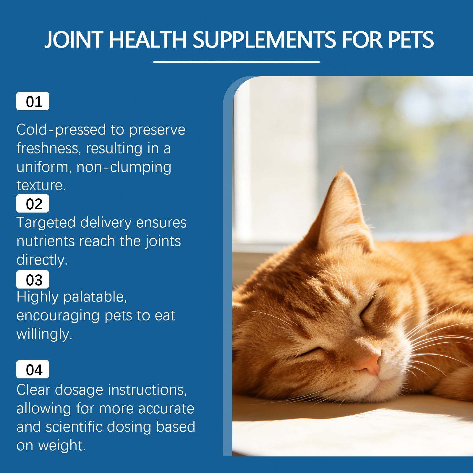 Joint Care Chewables to Keep Your Pet Moving Happily